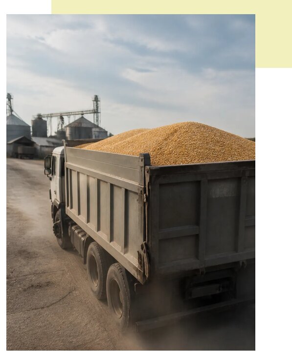 Перевозка сельхозпродукции навалом в Карасука по цене от 3047 р. | Агросервис-Кск